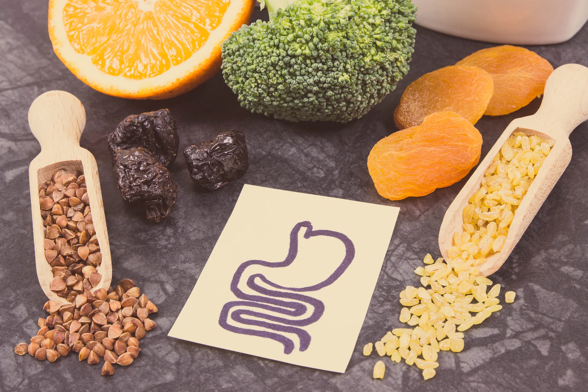 Mastering Gut Health for Better Fitness Results